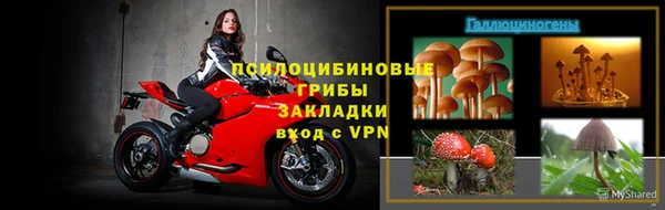 a pvp Ладушкин