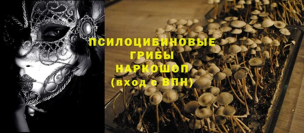 прущая мука Лабытнанги