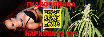 СК Ирбит