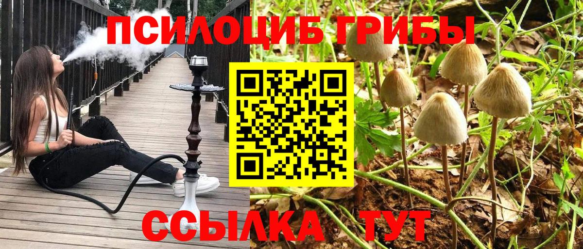 Псилоцибиновые грибы Cubensis  Галлюциногенные грибы MAGIC MUSHROOMS  Ухта  Вход с VPN 